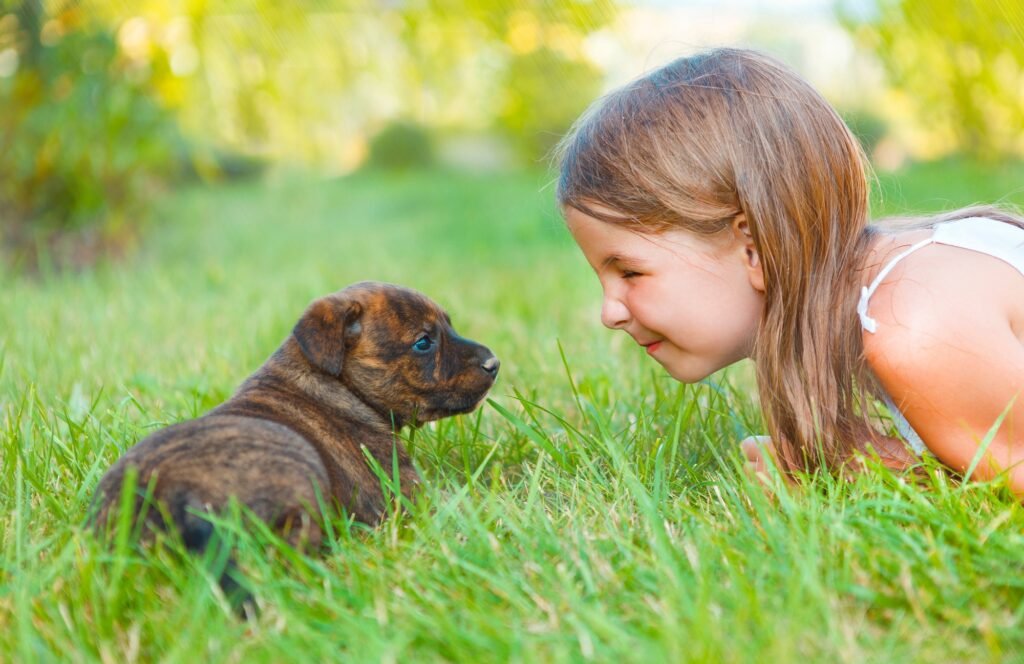 Cute little girl and dog puppy. Friendship and care concept